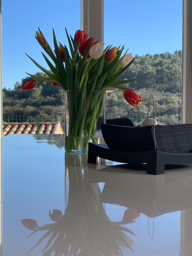 Villa Bonheur - Provence - Côte d'Azur Cabasse Extérieur photo
